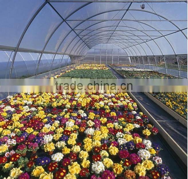 Large Multi-span fiberglass commercial greenhouse,garden greenhouse,flower greenhouses
