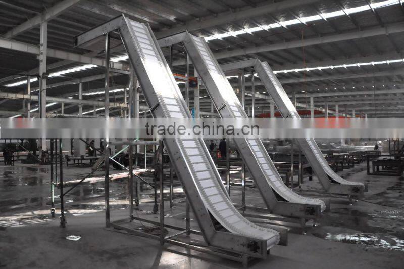 apple chips production line