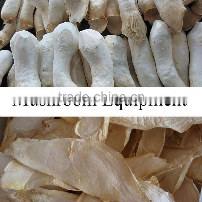 mushroom belt drying machine