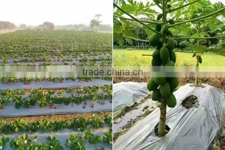 PE material plastic mulch film