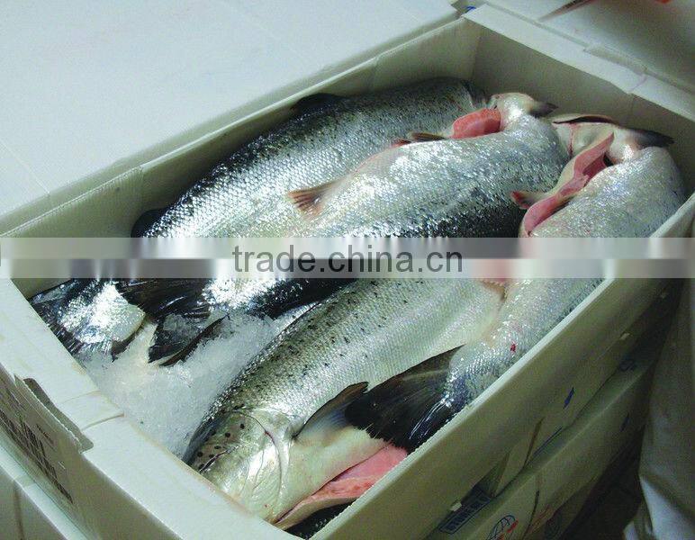 Signboard 3.6mm Corrugated Plastic Sheets for cake box