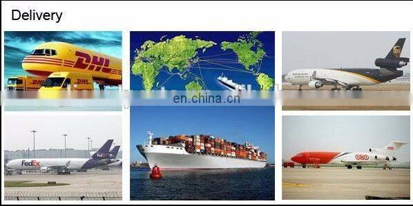 Injection Pump VE411E1800L009 0002060090 A7592E049331000 2221031300155