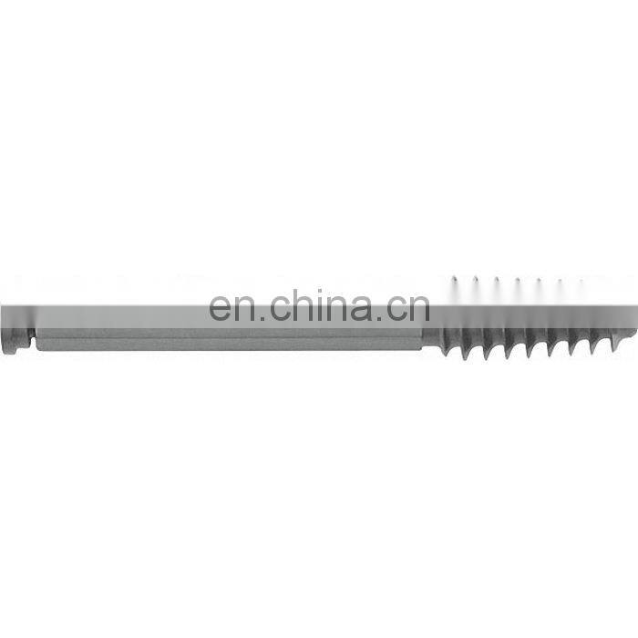 China Manufacture & ISO Marked Lag Screw for DHS Plate Surgical Implant