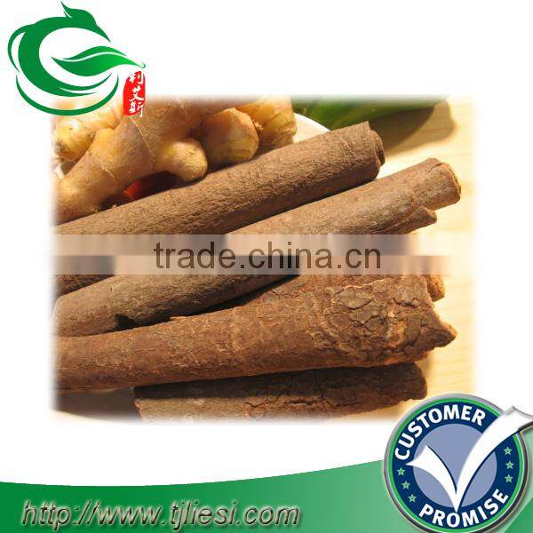 supply saigon cinnamon with low price