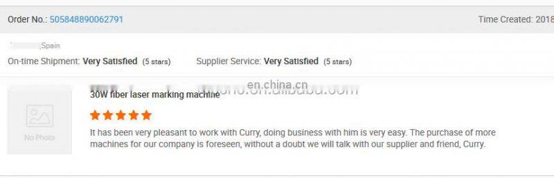 Raycus 20w mini sealed auto focus Full Cover mini 20w fiber laser marking machine