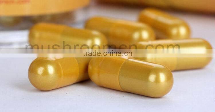 Herbal Supplements Type powder dosage form wild chaga chucks extract powder