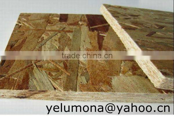 best price osb board from shandong china