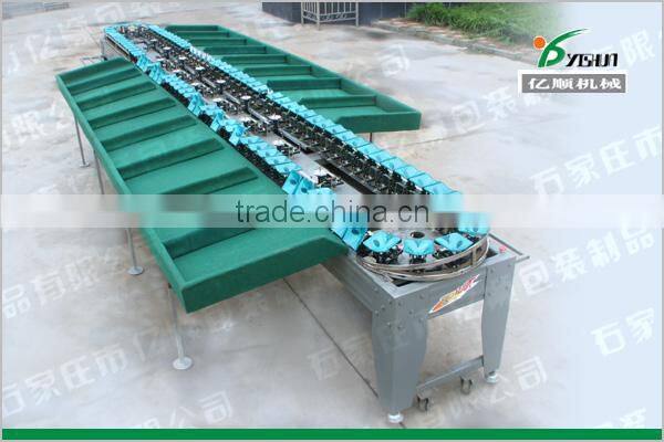 Automatic Kiwi fruit sorting machine YSXS-76-16-100
