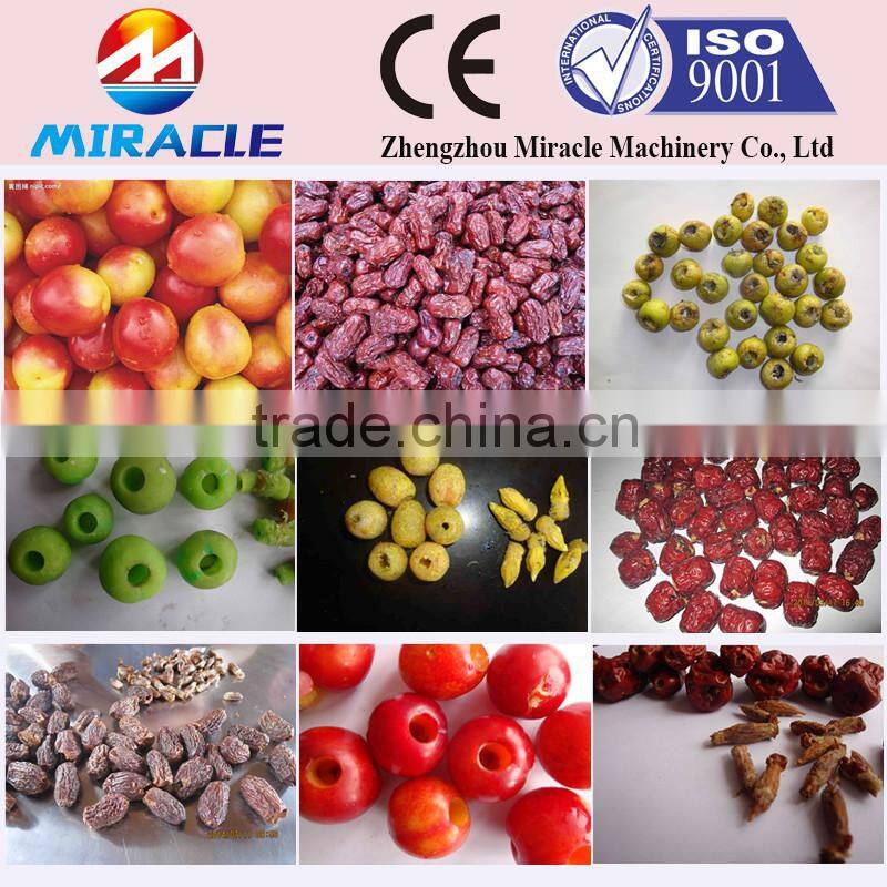Sefri Dates Sultana Dates Process Pitting Pitter Machine