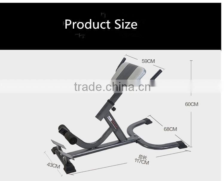 Roman Chair Office Chair Fitness Chair