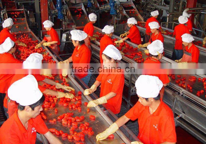 tomato paste