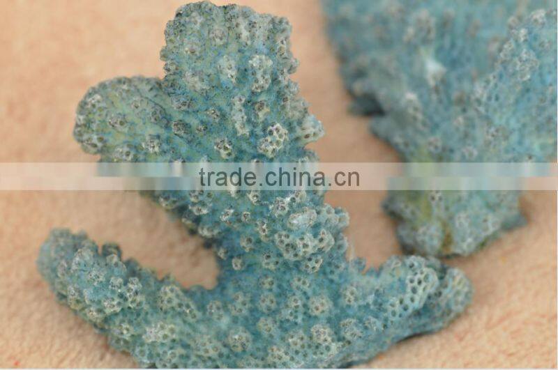 wholesale dyed in pearl blue coral natural material coral gemstone for jewellery making