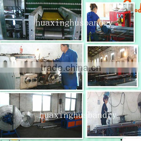 best price automatic egg collection A type hot galvanized & electric galvanzied chicken layer cage price chicken cage