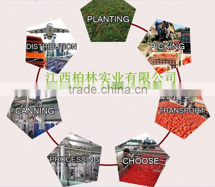 Canned tomato paste, exported to Africa/Middle East/Eastern Europe