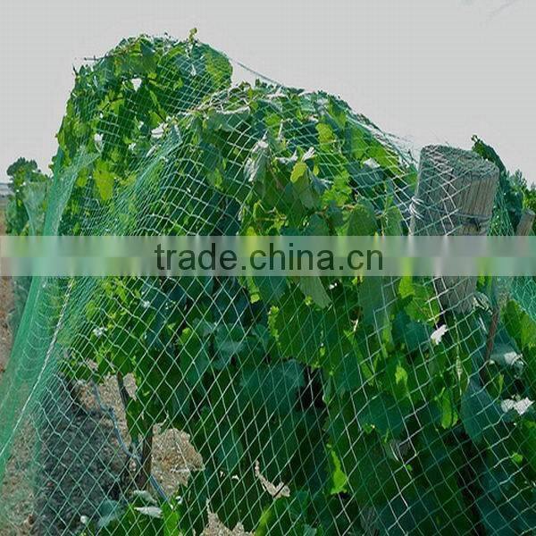 Hot! HDPE net to catch birds & anti bird net