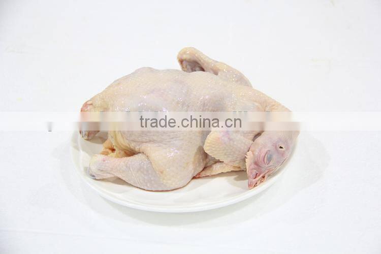 halal quality chicken the whole chicken
