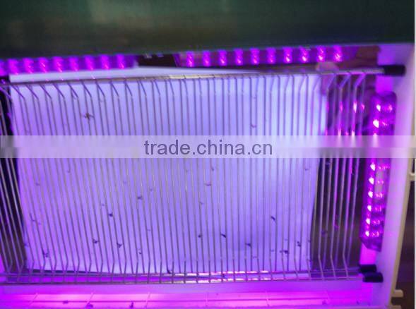 Best quality Elong MT999 fly insect killer