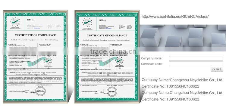 CE appoved 48v 1000w motor bldc