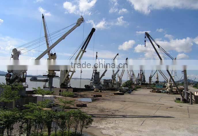 longevity deck crane