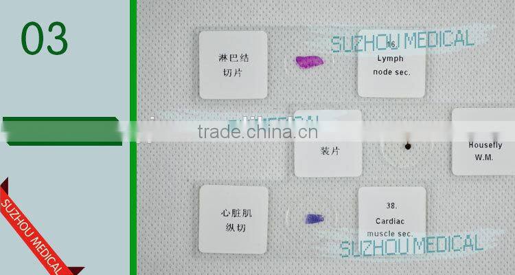 50pieces set primary school study zoology and botany mixed biology slides