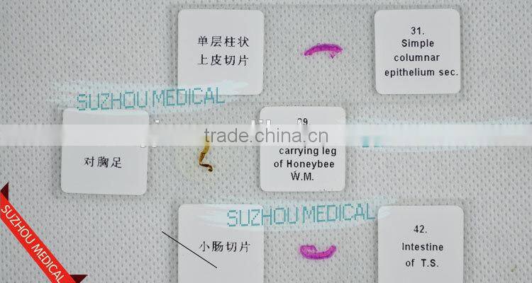 50pieces set primary school study zoology and botany mixed biology slides