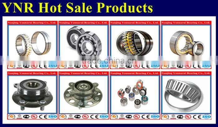 Double Row Full complement Cylindrical Roller Bearing SL014934