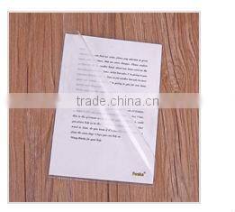 Two Pocket A4 Transparent Color Buckle File Pocket/Plastic Document Bag with Button