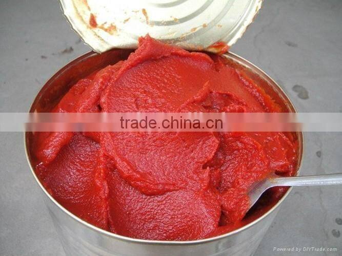 Canned tomato paste in sauce price