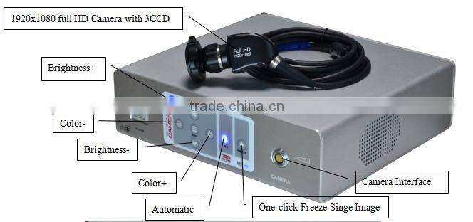 cheap Endoscope Camera with ce