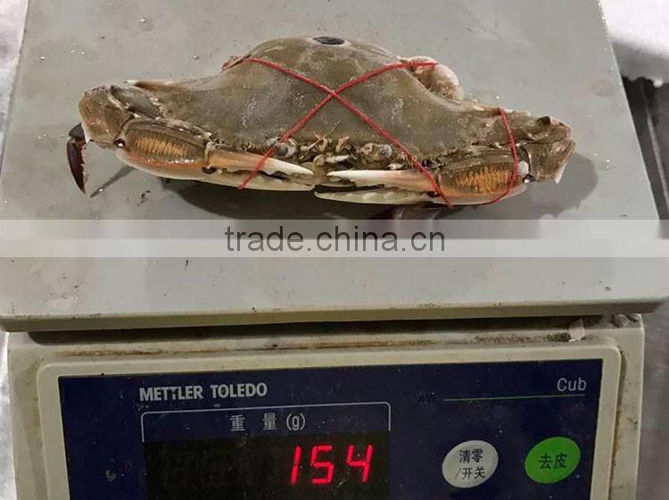 good quality frozen redspot swimming crab