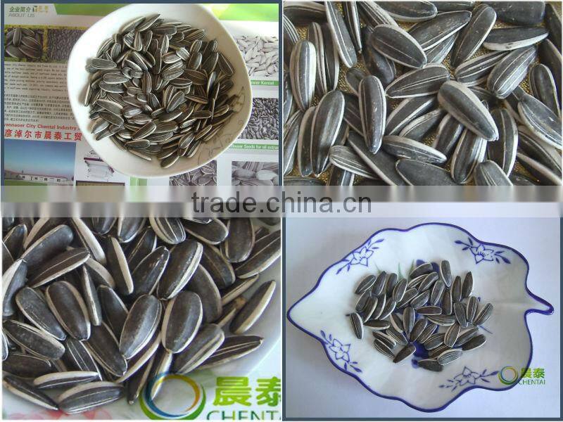 Wholesale 6009 Raw Striped Sunflower Seeds 24/64