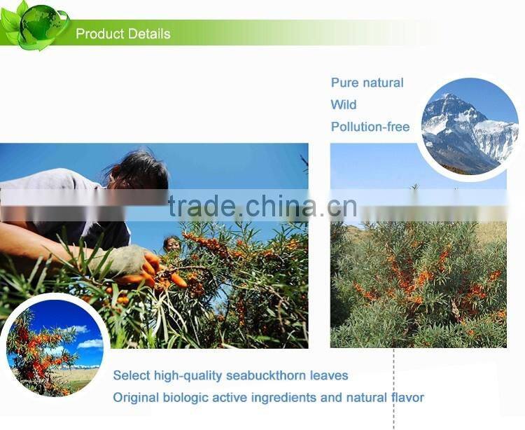 Seabuckthorn tea enhanced immunity green healthy