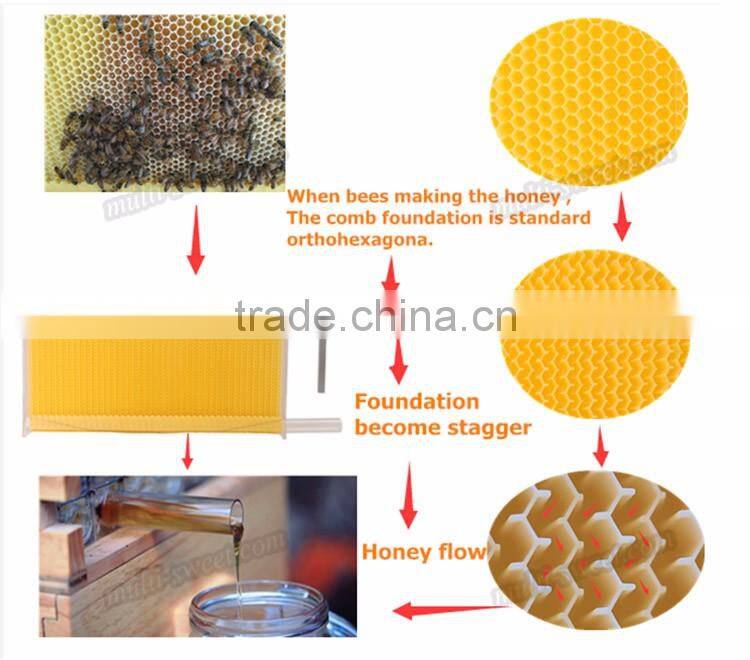 Automatic langstroth flowing bee hive with 8 frames from super supplier