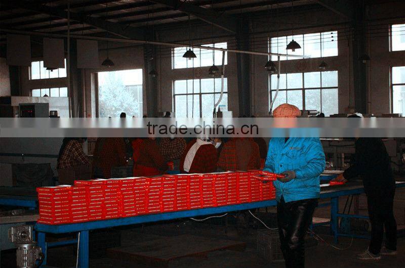 citronella mosquito coil