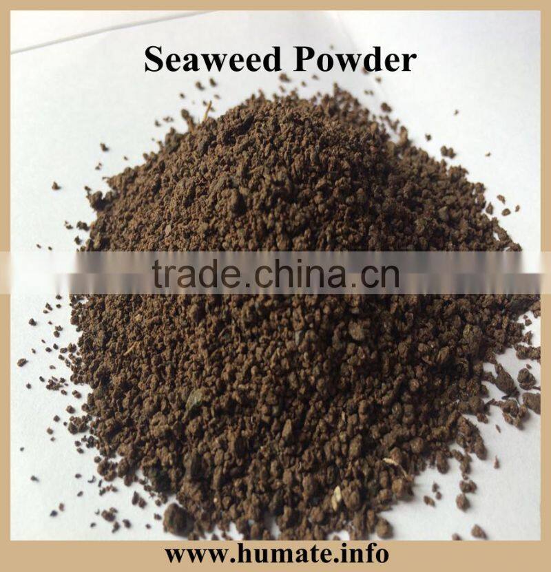 feed grade kelp meal,seaweed kelp meal animal feed in Europe and USA market