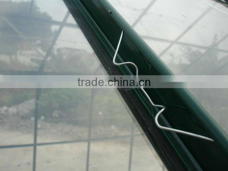 Spring clips glass greenhouse for plantting flower and vegetables HX78126G-1