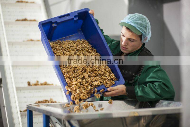 walnuts kernal dryer