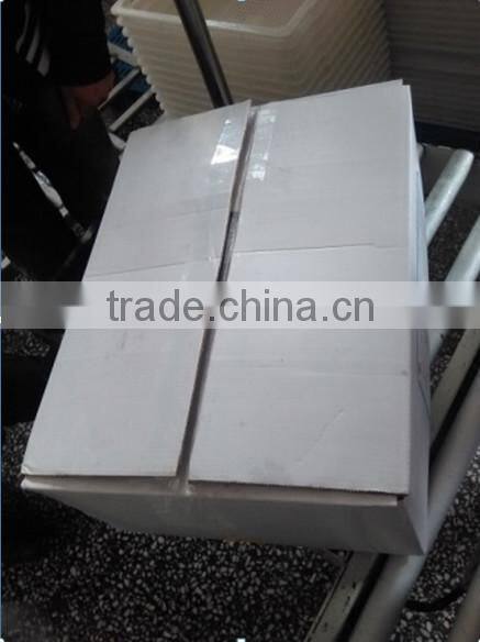 Frozen moonfish fillet