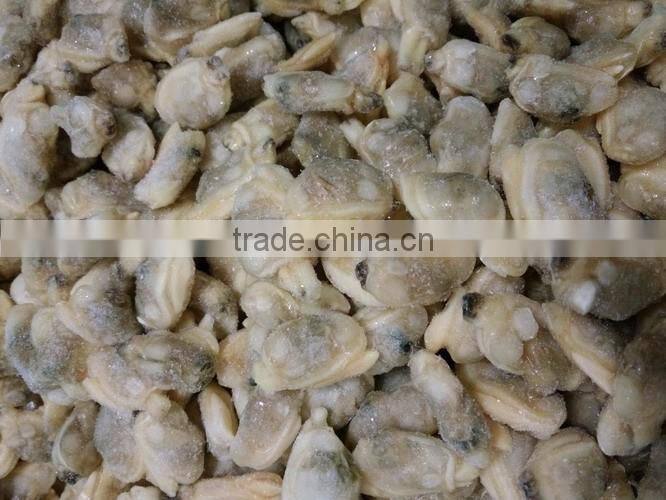 COOKED AND IQF FROZEN YELLOW CLAM MEAT