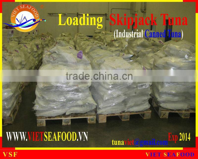 LOADING FROZEN SKIPJACK TUNA