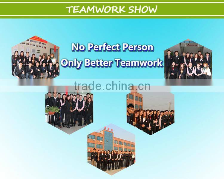 DX5 HEAD large format vinyl plotter printer