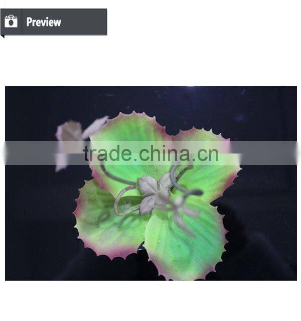 Succulent plants potted succulent artificial bonsai plant succulent