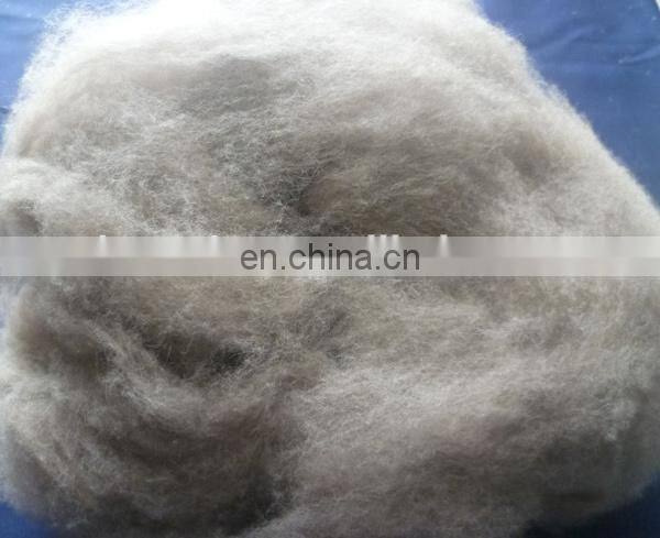 sheep wool open tops white for woolen spinning