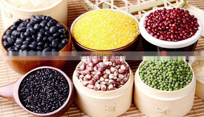 chilli processing plant grinder machine masala grinder