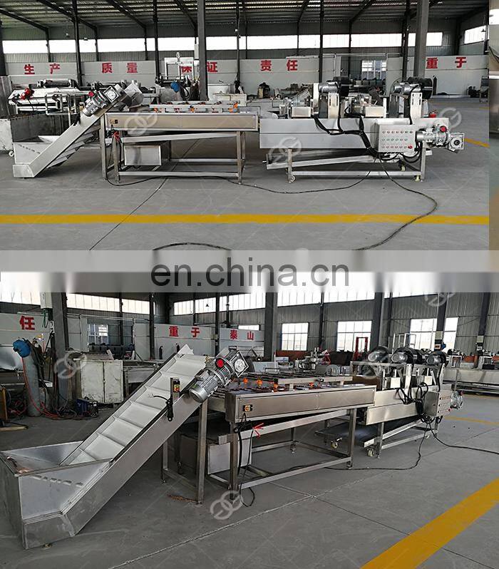 Commercial Ozone Fruit Cleaner Vegetable Washing Machine Manufacturer In India