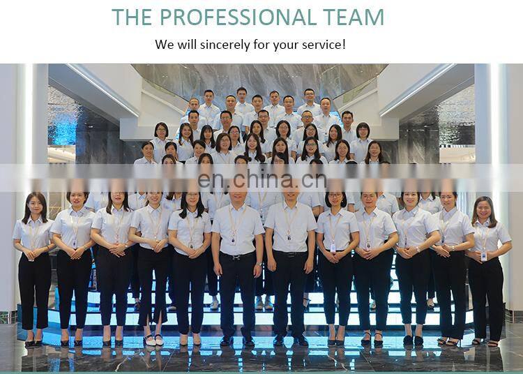 foshan 300x300 porcelana ceramic azulejo mosaico mosaic C648017