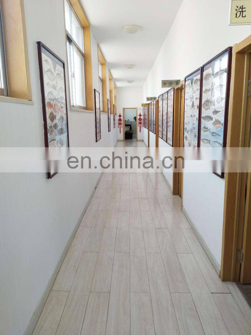 Frozen small white shrimp