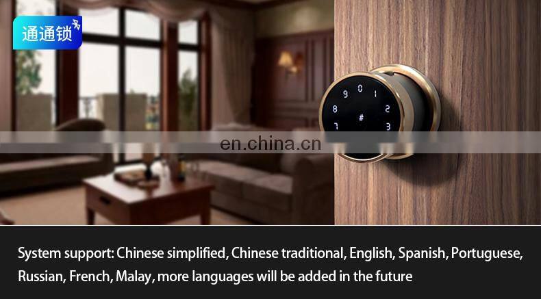 Front Door Keyless Entry Electronic Mortise Code Touchscreen App Unlock Cylinder Gate Door Lock For Office Rent House