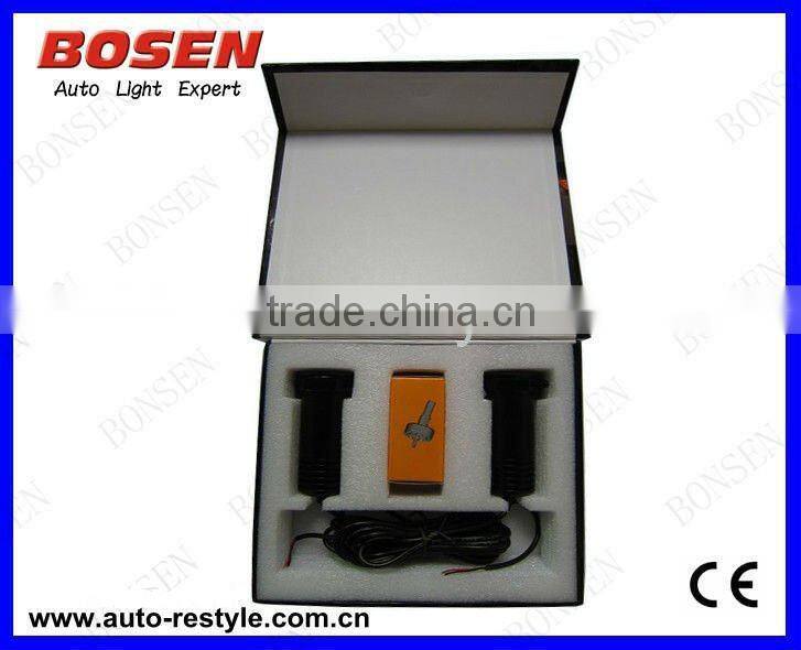 auto LED courtesy ghost door light