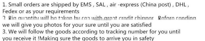 Small Black Tourmaline Crystal Quartz Skull